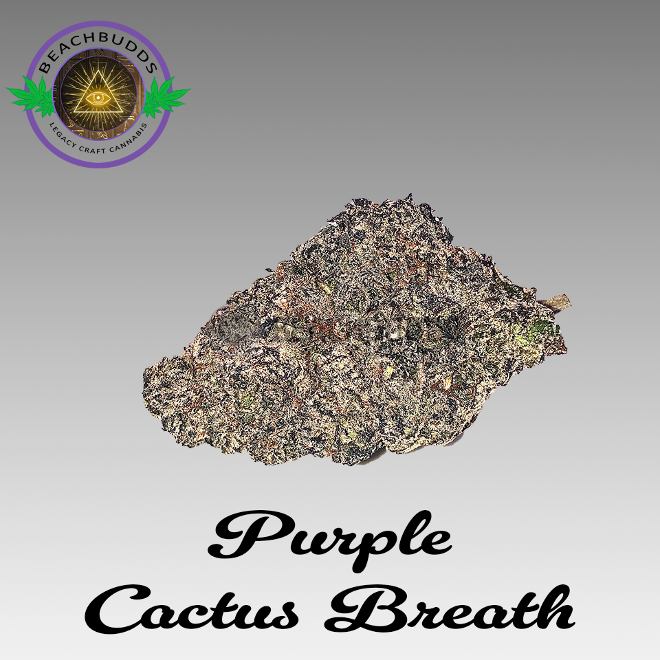 Purple Cactus Breath (Indica)