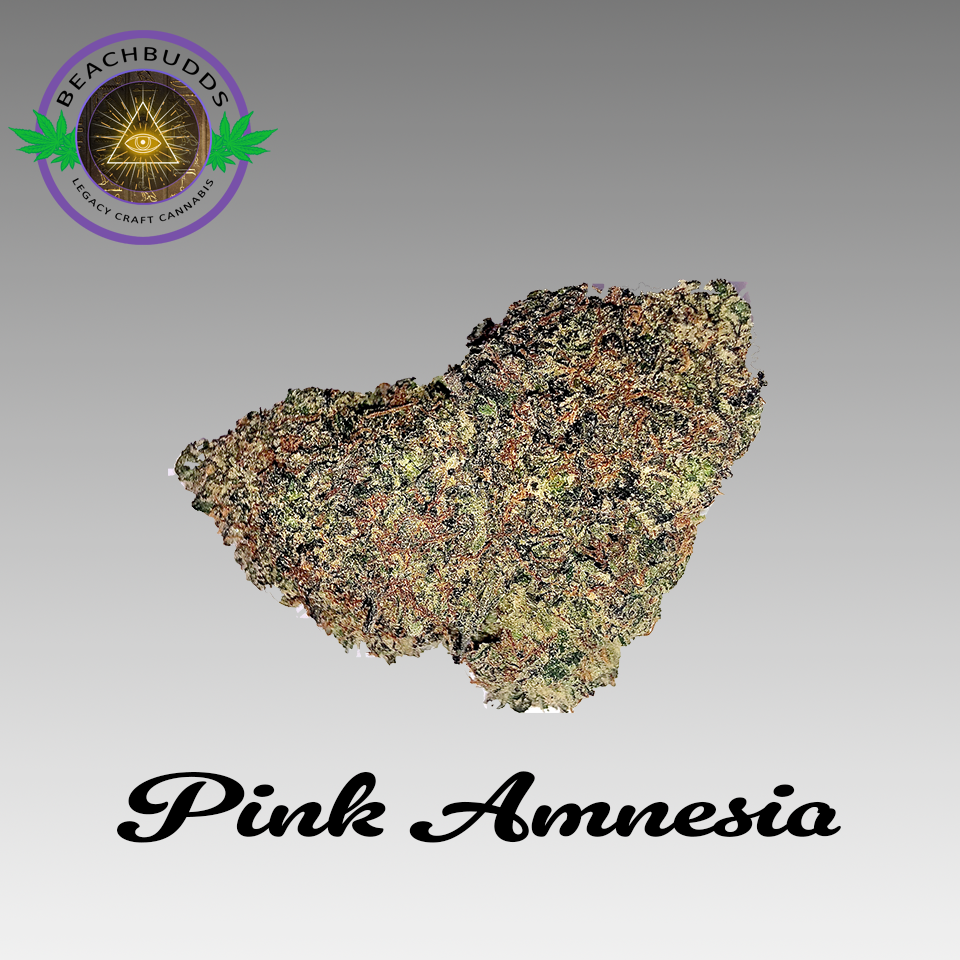 Pink Amnesia (Hybrid)