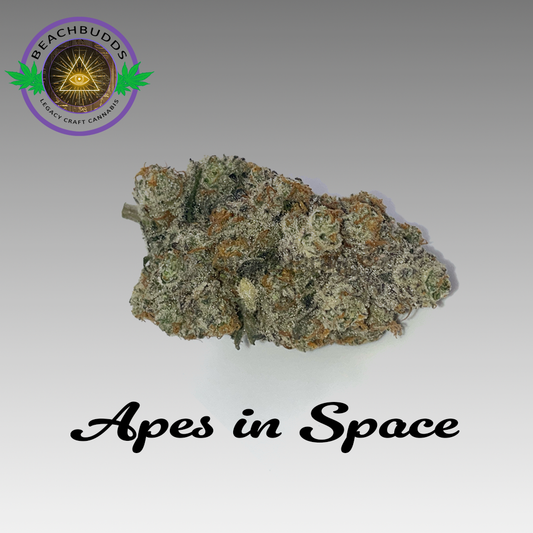 Apes in Space (Hybrid)