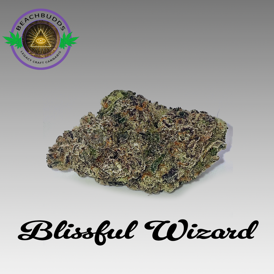 Blissful Wizard (Hybrid)