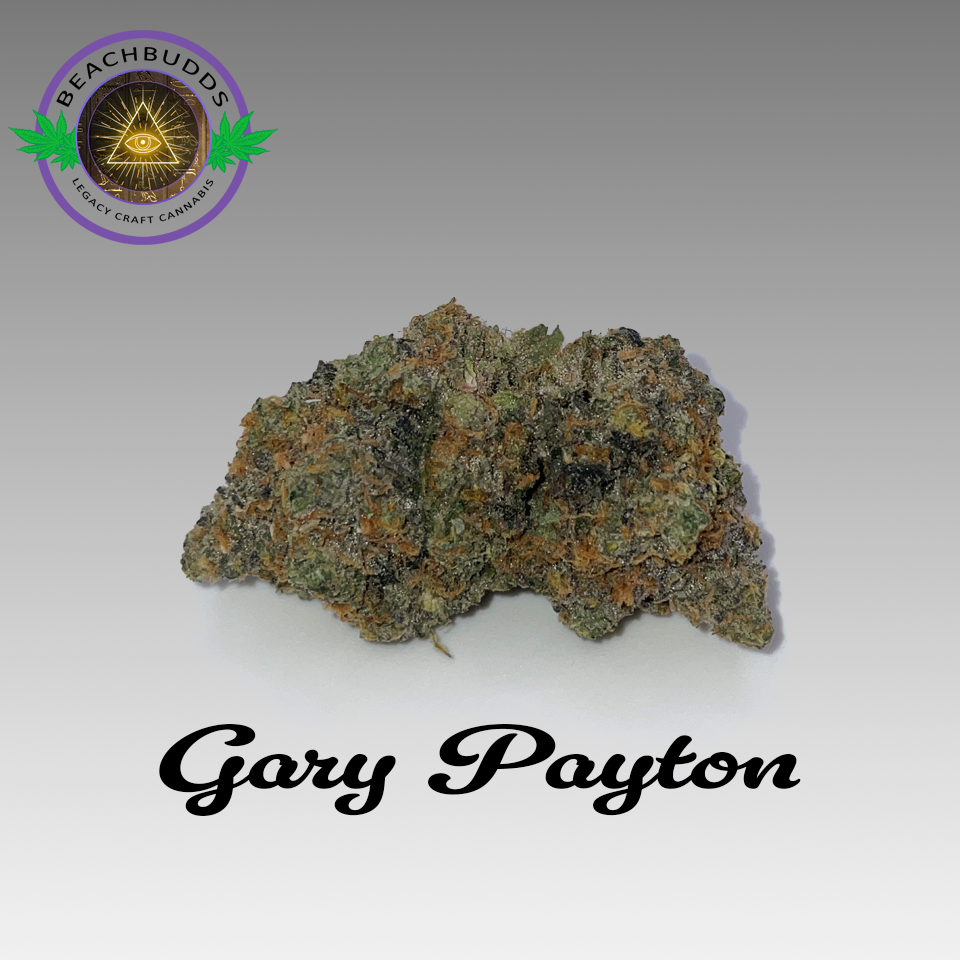 Gary Payton (Hybrid) – Beach Budds