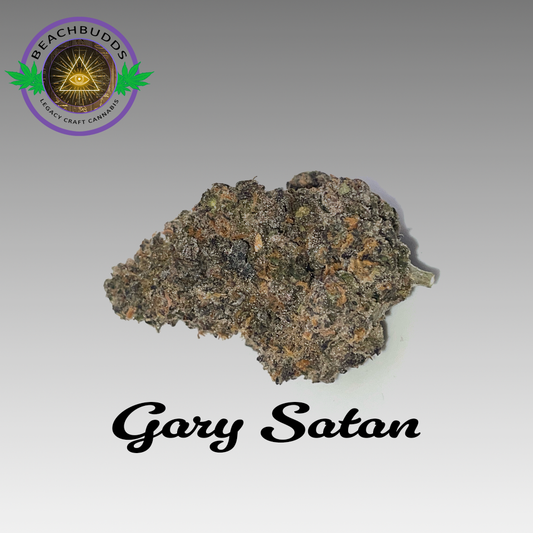 Gary Satan (Hybrid)