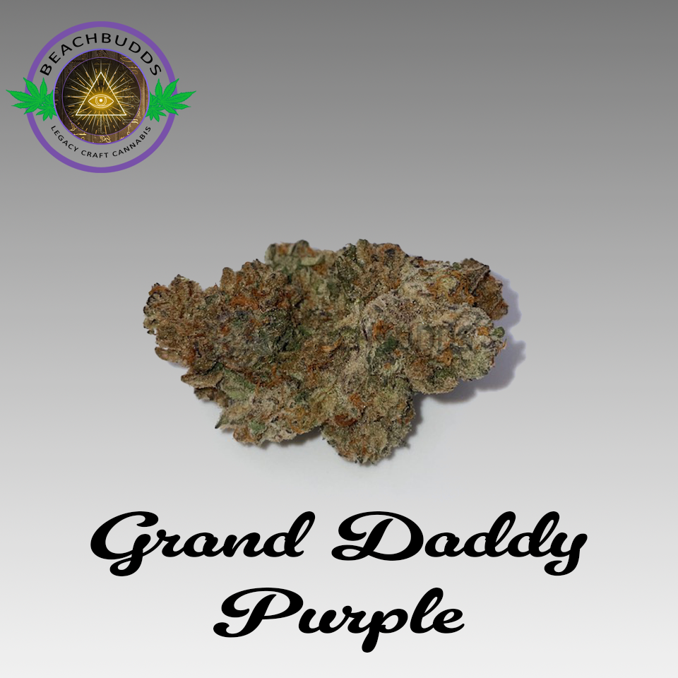 Grand Daddy Purp (Indica)