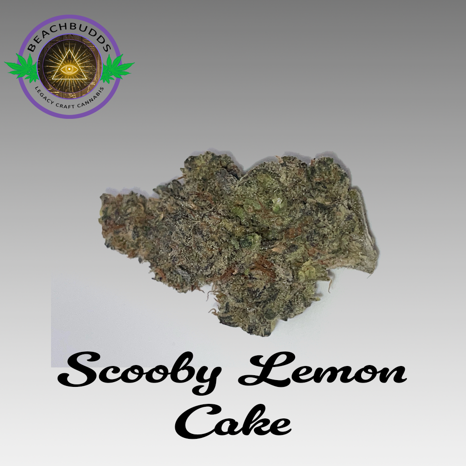 Scooby Lemon Cake (Hybrid)