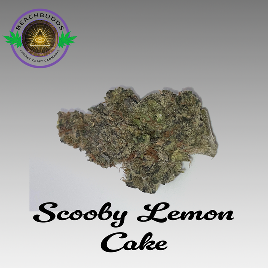 Scooby Lemon Cake (Hybrid)