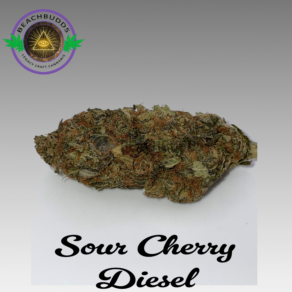 Sour Cherry Diesel (Hybrid)